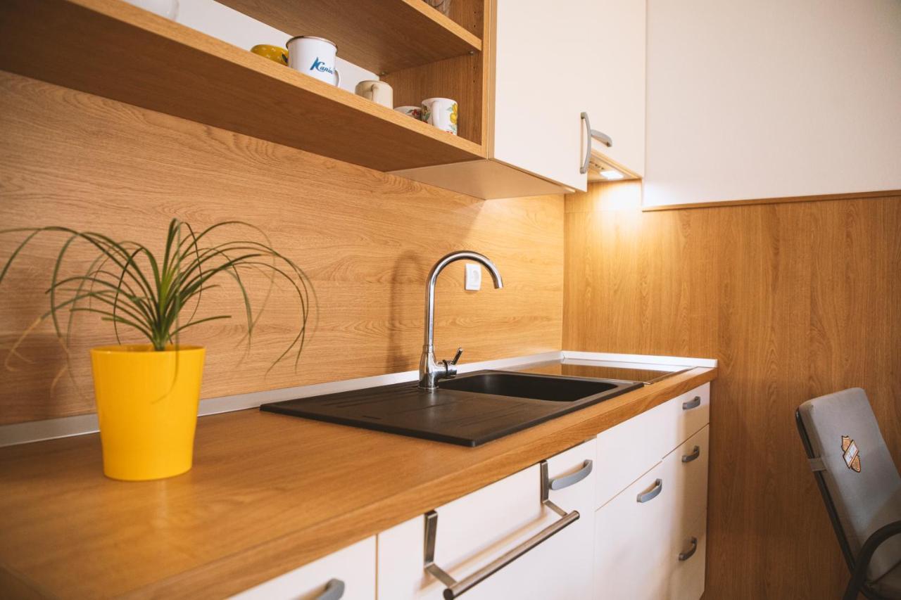 Soncni Apartma بوويتش المظهر الخارجي الصورة